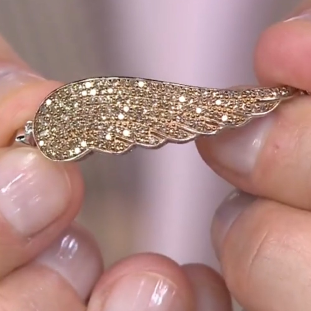 IN SEARCH OF Affinity Wing Bracelet QVC JTV